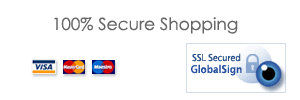 100% Secure Shopping