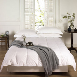 Image of: Duck Feather & Down Duvet